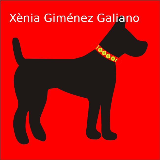 Flat image with the text 'Xènia Giménez Galiano'